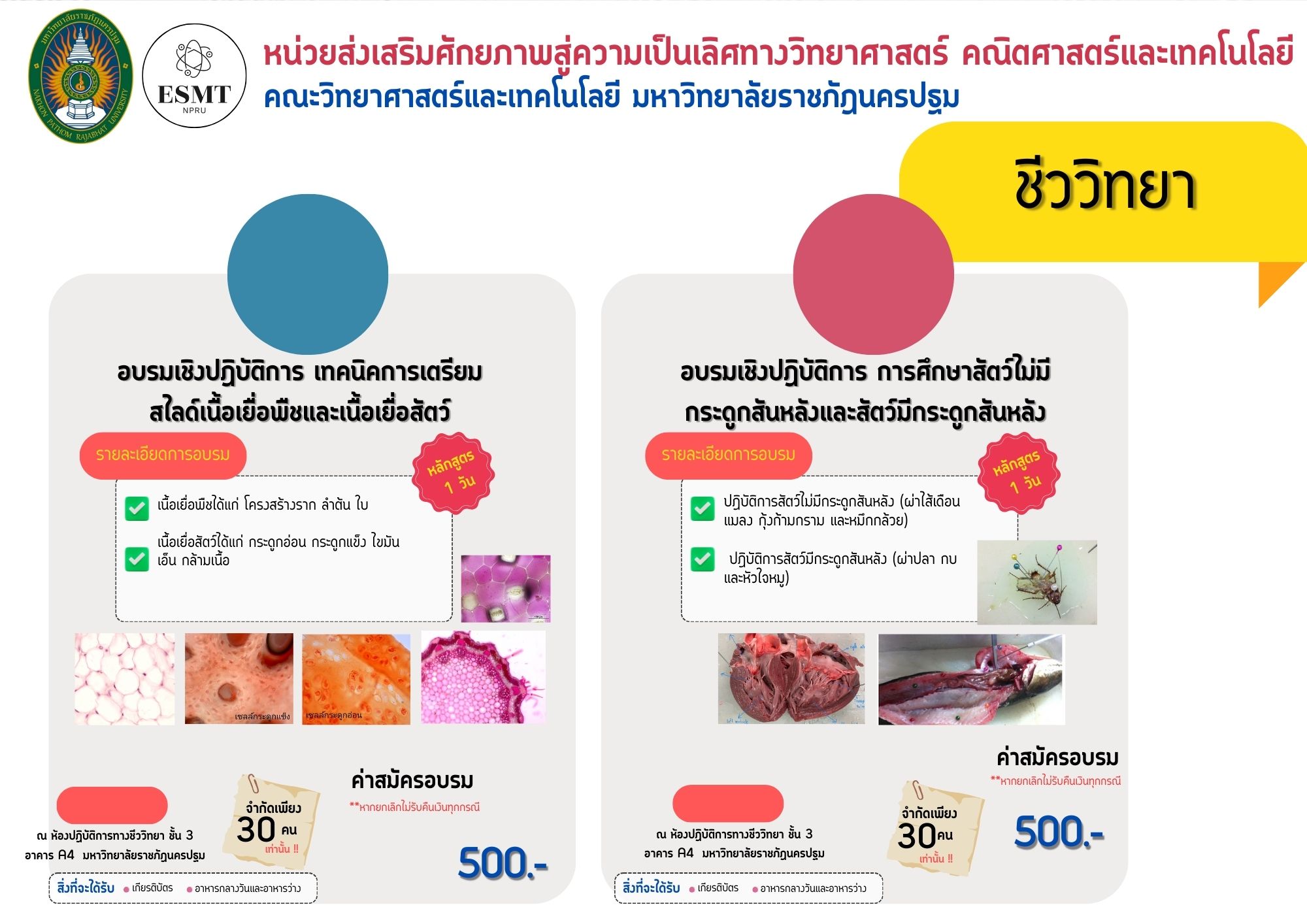 หลักสูตรชีววิทยา